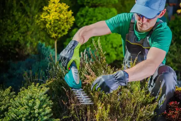 landscaping services West Chazy